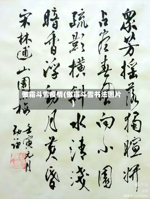 傲霜斗雪疫情(傲霜斗雪书法图片)-第2张图片