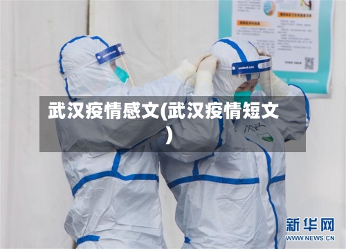 武汉疫情感文(武汉疫情短文)