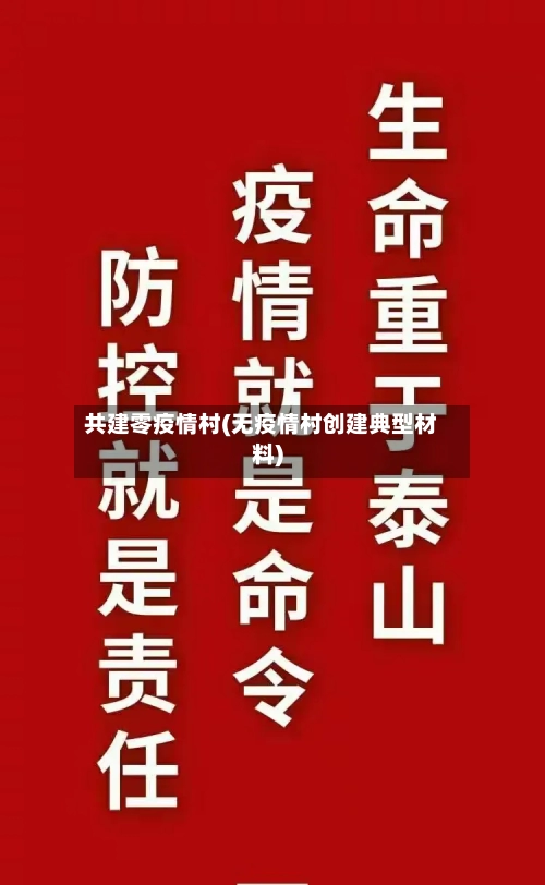 共建零疫情村(无疫情村创建典型材料)