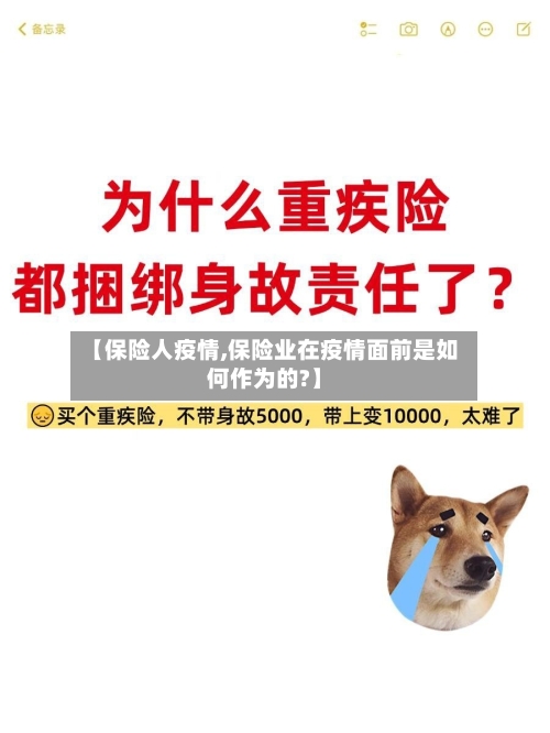 【保险人疫情,保险业在疫情面前是如何作为的?】