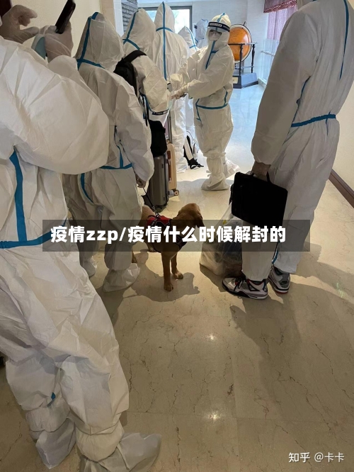 疫情zzp/疫情什么时候解封的-第3张图片