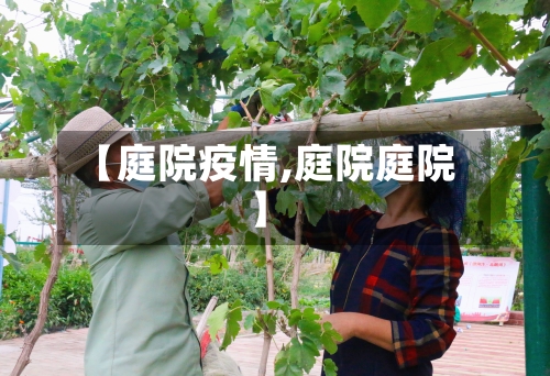 【庭院疫情,庭院庭院】