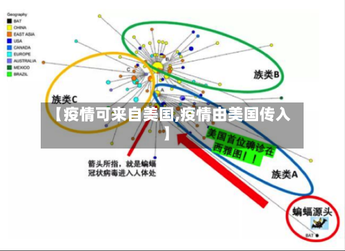 【疫情可来自美国,疫情由美国传入】-第3张图片