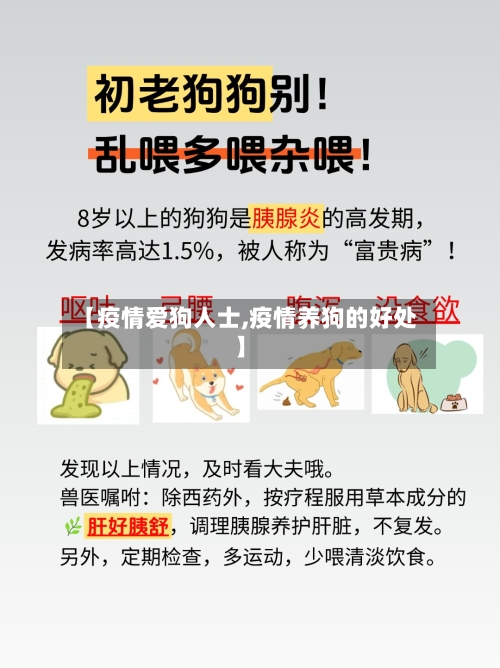 【疫情爱狗人士,疫情养狗的好处】