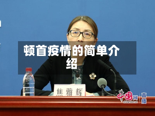 顿首疫情的简单介绍-第2张图片