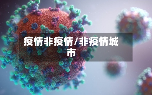 疫情非疫情/非疫情城市