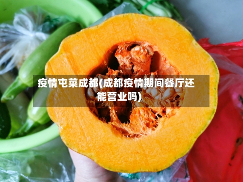 疫情屯菜成都(成都疫情期间餐厅还能营业吗)