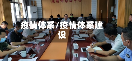 疫情体系/疫情体系建设