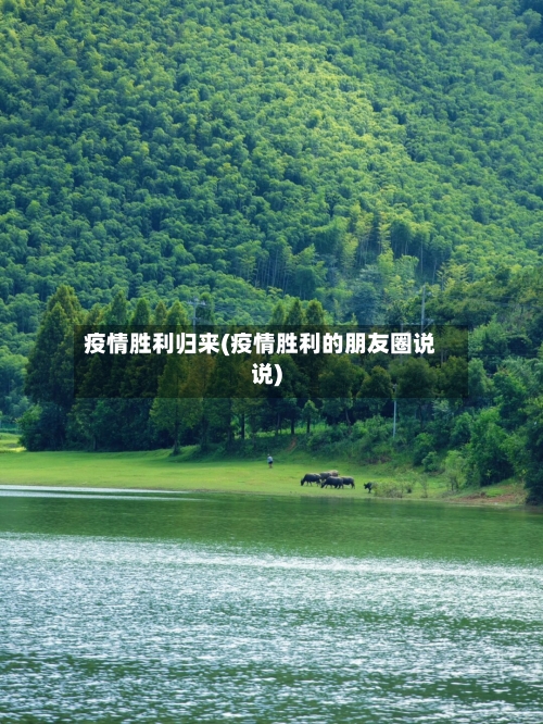 疫情胜利归来(疫情胜利的朋友圈说说)-第3张图片