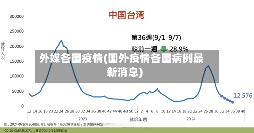外媒各国疫情(国外疫情各国病例最新消息)