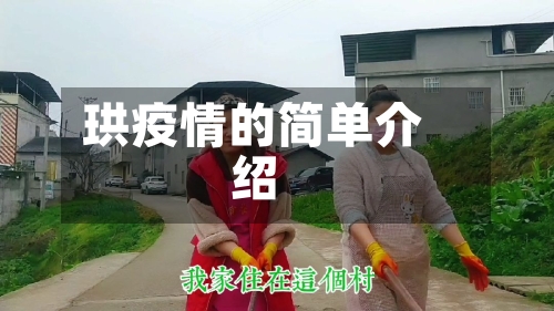 珙疫情的简单介绍