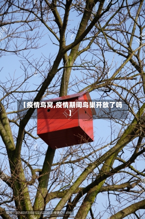 【疫情鸟窝,疫情期间鸟巢开放了吗】