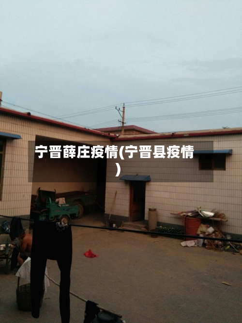 宁晋薛庄疫情(宁晋县疫情)-第2张图片