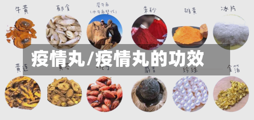 疫情丸/疫情丸的功效