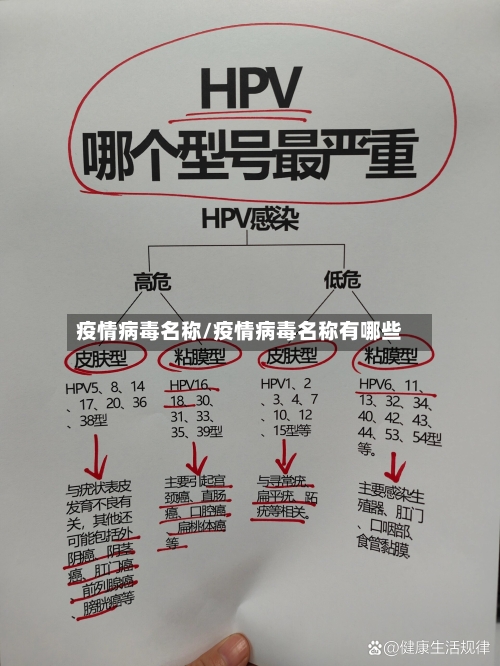 疫情病毒名称/疫情病毒名称有哪些-第2张图片
