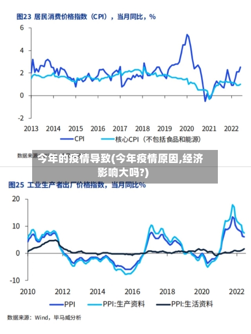 今年的疫情导致(今年疫情原因,经济影响大吗?)