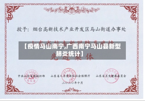 【疫情马山南宁,广西南宁马山县新型肺炎统计】