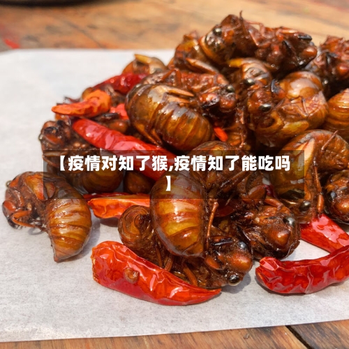 【疫情对知了猴,疫情知了能吃吗】-第2张图片