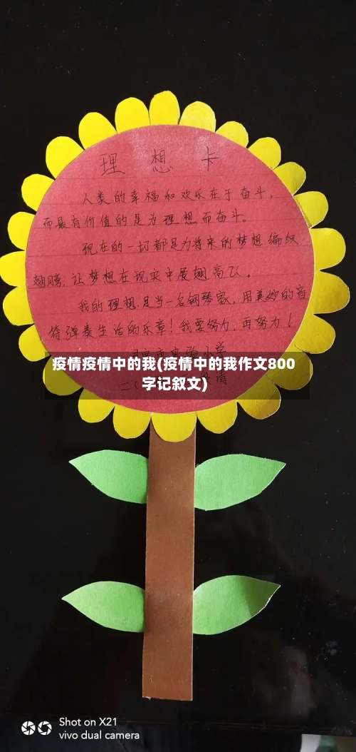 疫情疫情中的我(疫情中的我作文800字记叙文)