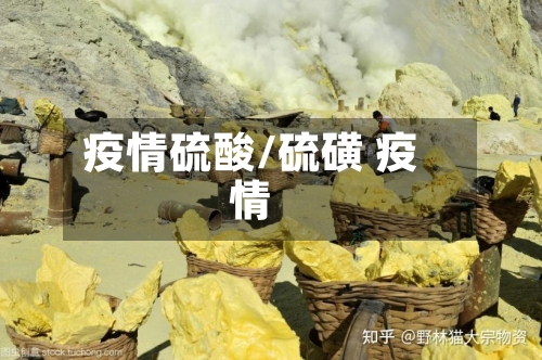 疫情硫酸/硫磺 疫情