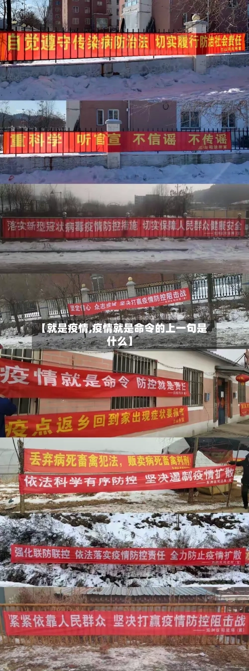 【就是疫情,疫情就是命令的上一句是什么】