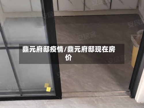 鼎元府邸疫情/鼎元府邸现在房价-第2张图片