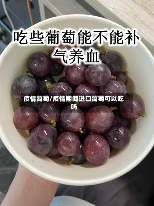 疫情葡萄/疫情期间进口葡萄可以吃吗