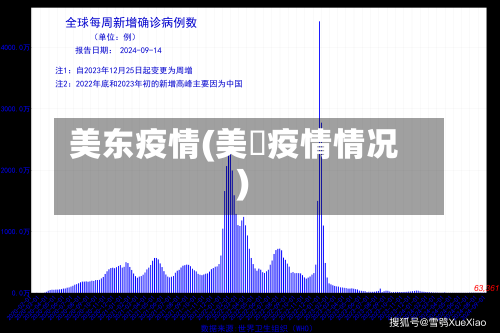 美东疫情(美囯疫情情况)