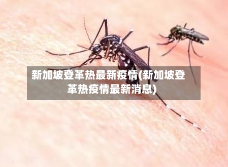 新加坡登革热最新疫情(新加坡登革热疫情最新消息)