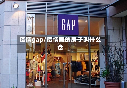疫情gap/疫情盖的房子叫什么仓-第3张图片