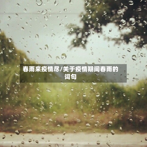 春雨来疫情尽/关于疫情期间春雨的词句