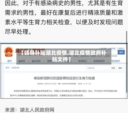 【领导补贴湖北疫情,湖北疫情政府补贴文件】