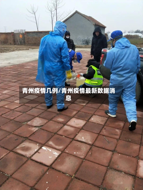 青州疫情几例/青州疫情最新数据消息-第2张图片