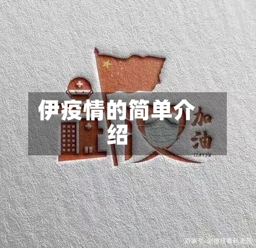 伊疫情的简单介绍