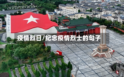 疫情烈日/纪念疫情烈士的句子-第2张图片