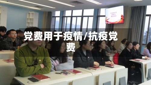 党费用于疫情/抗疫党费