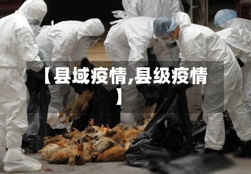 【县域疫情,县级疫情】