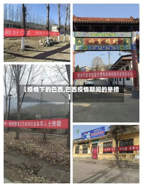 【疫情下的巴西,巴西疫情期间的举措】-第3张图片