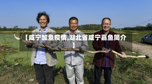 【咸宁加鱼疫情,湖北省咸宁嘉鱼简介】