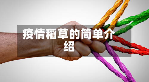 疫情稻草的简单介绍