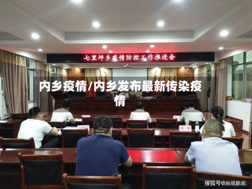 内乡疫情/内乡发布最新传染疫情-第2张图片