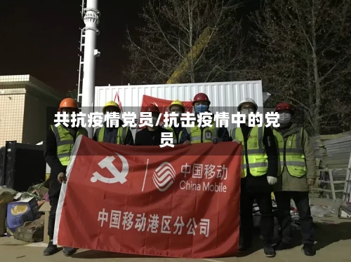 共抗疫情党员/抗击疫情中的党员-第2张图片