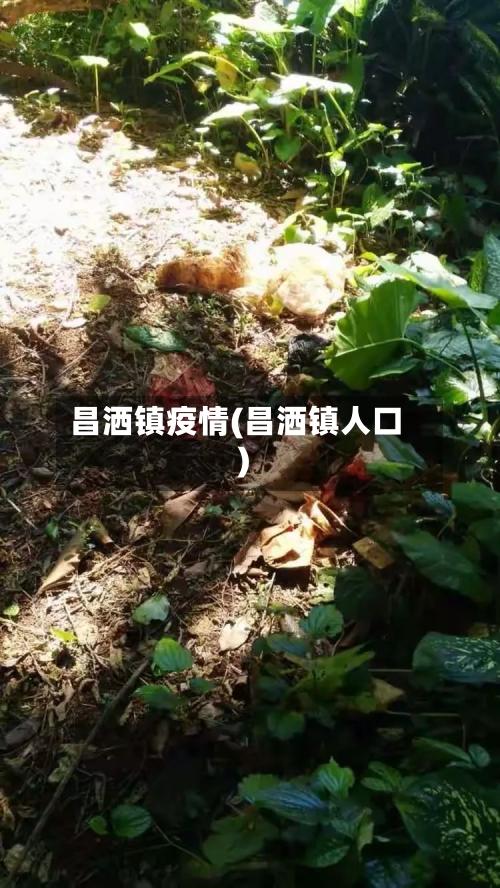 昌洒镇疫情(昌洒镇人口)-第2张图片