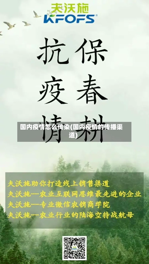 国内疫情怎么传染(国内疫情的传播渠道)