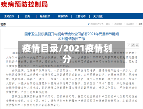 疫情目录/2021疫情划分-第2张图片