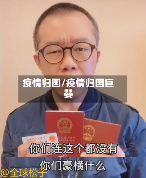 疫情归国/疫情归国巨婴-第2张图片