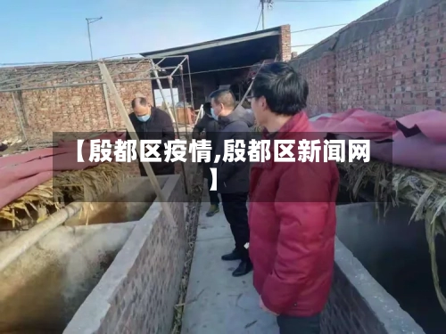 【殷都区疫情,殷都区新闻网】
