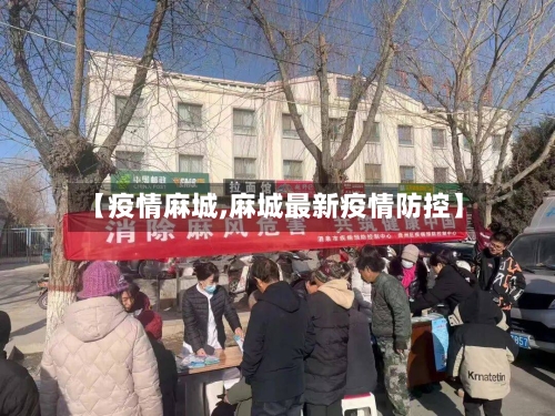 【疫情麻城,麻城最新疫情防控】-第2张图片