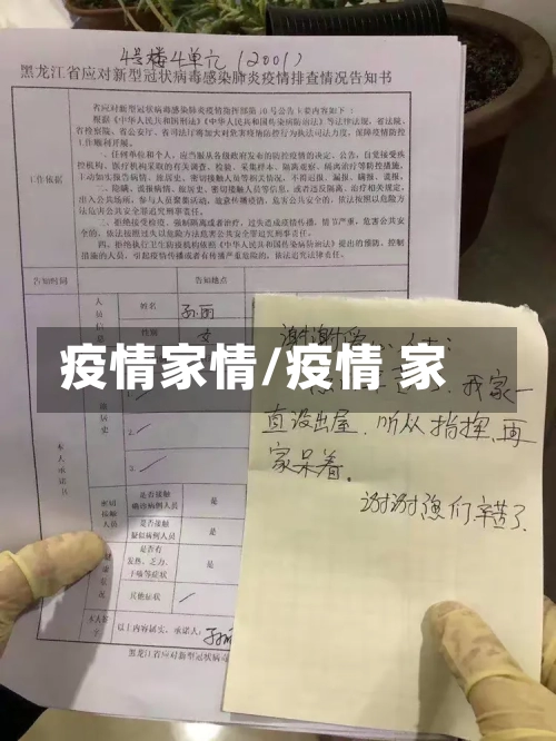 疫情家情/疫情 家-第2张图片