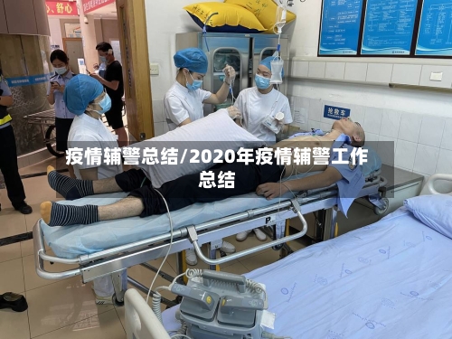 疫情辅警总结/2020年疫情辅警工作总结-第2张图片